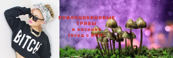 дурь Михайловск