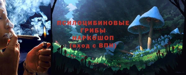 бутират Михайлов